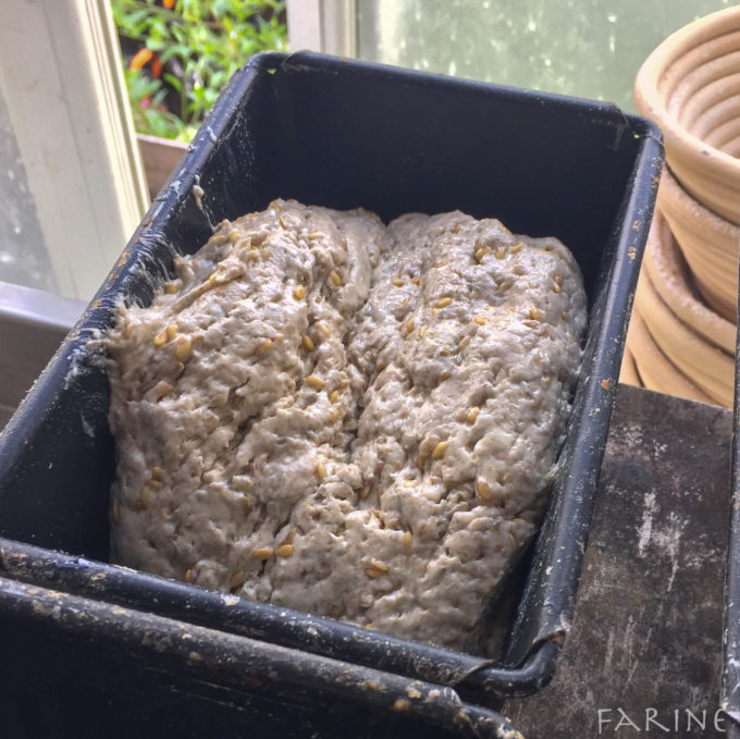 Dough in tin