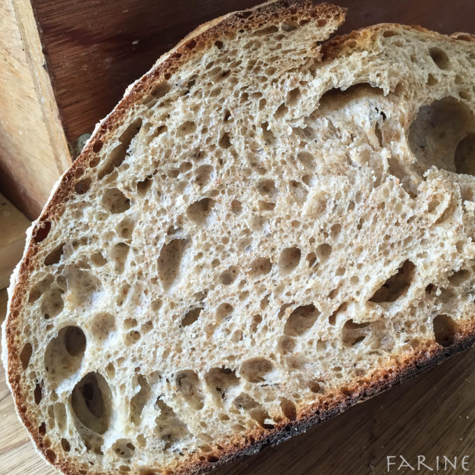 Table Bread - crumb shot