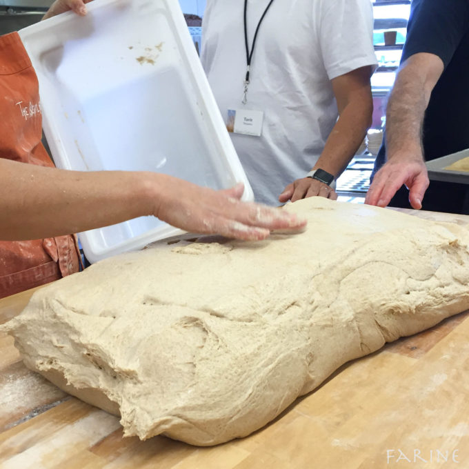 Ezekiel dough