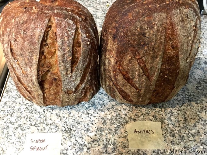 Side-by-side multigrains