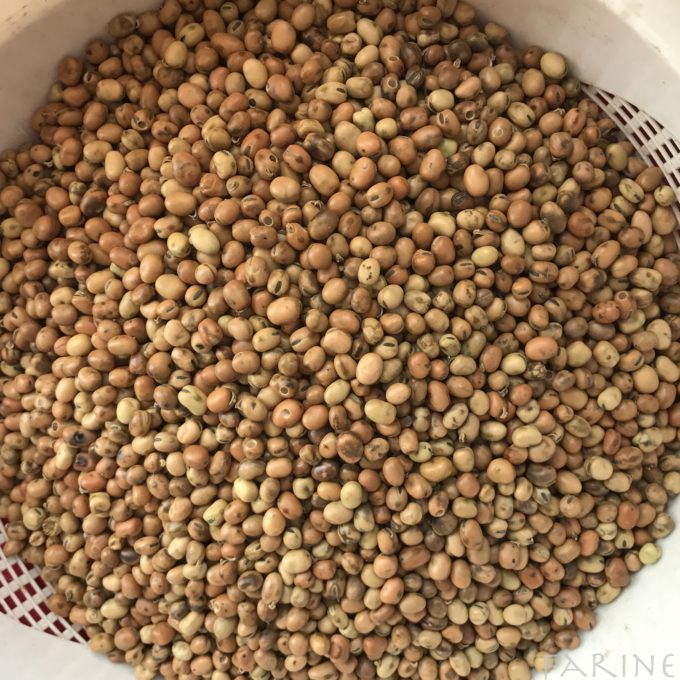 Favita beans