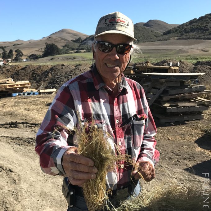Larry Kandarian with teff