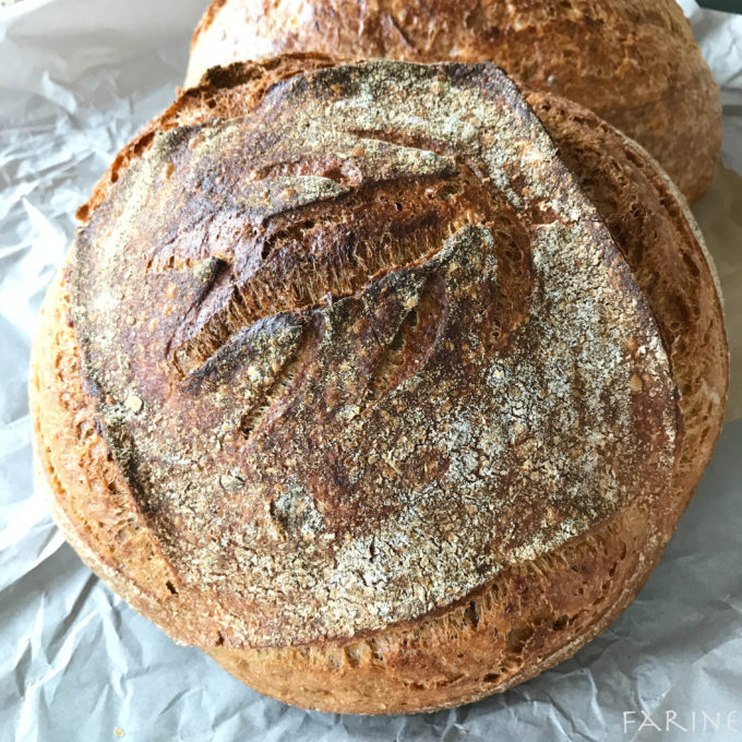 Whole wheat & khorosan